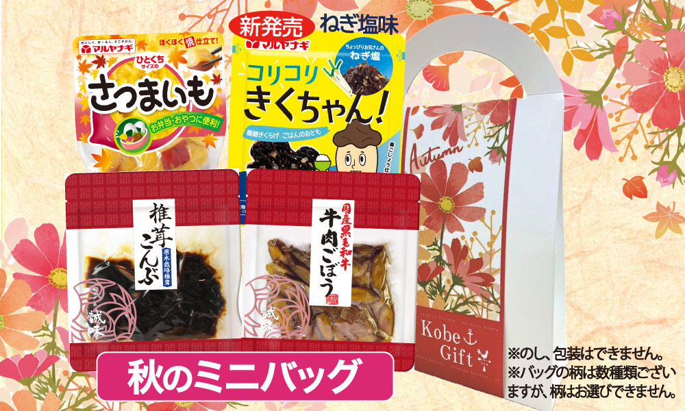 ミニバッグ