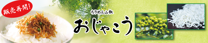おじゃこう販売再開!